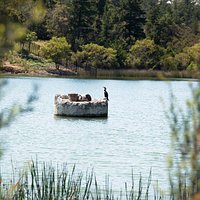 Frankston Nature Conservation Reserve
