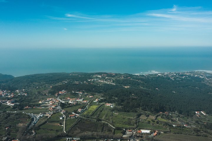 Descubra os segredos da floresta mágica em Wonder Tree