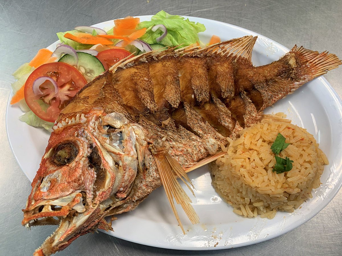 THE 10 BEST Restaurants in Port Isabel (Updated January 2024)