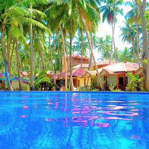 The Luxury suite cottages are sea front with the swimming pool in front of the rooms, the swimming pool Is just by the beach & in from of these cottages at Havelock Island Beach Resort
