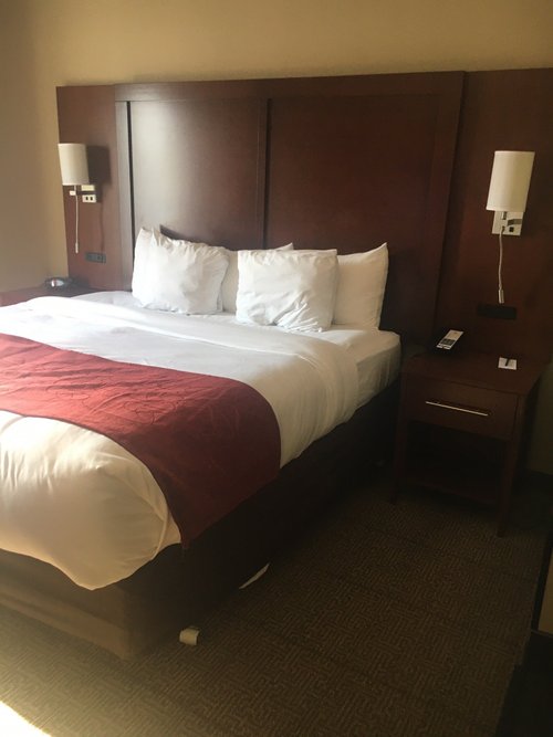 COMFORT SUITES $123 ($̶1̶3̶3̶) - Updated 2024 Prices & Hotel Reviews ...