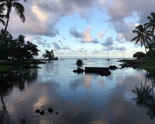 THE 5 BEST Hilo Beaches (Updated 2024) - Tripadvisor