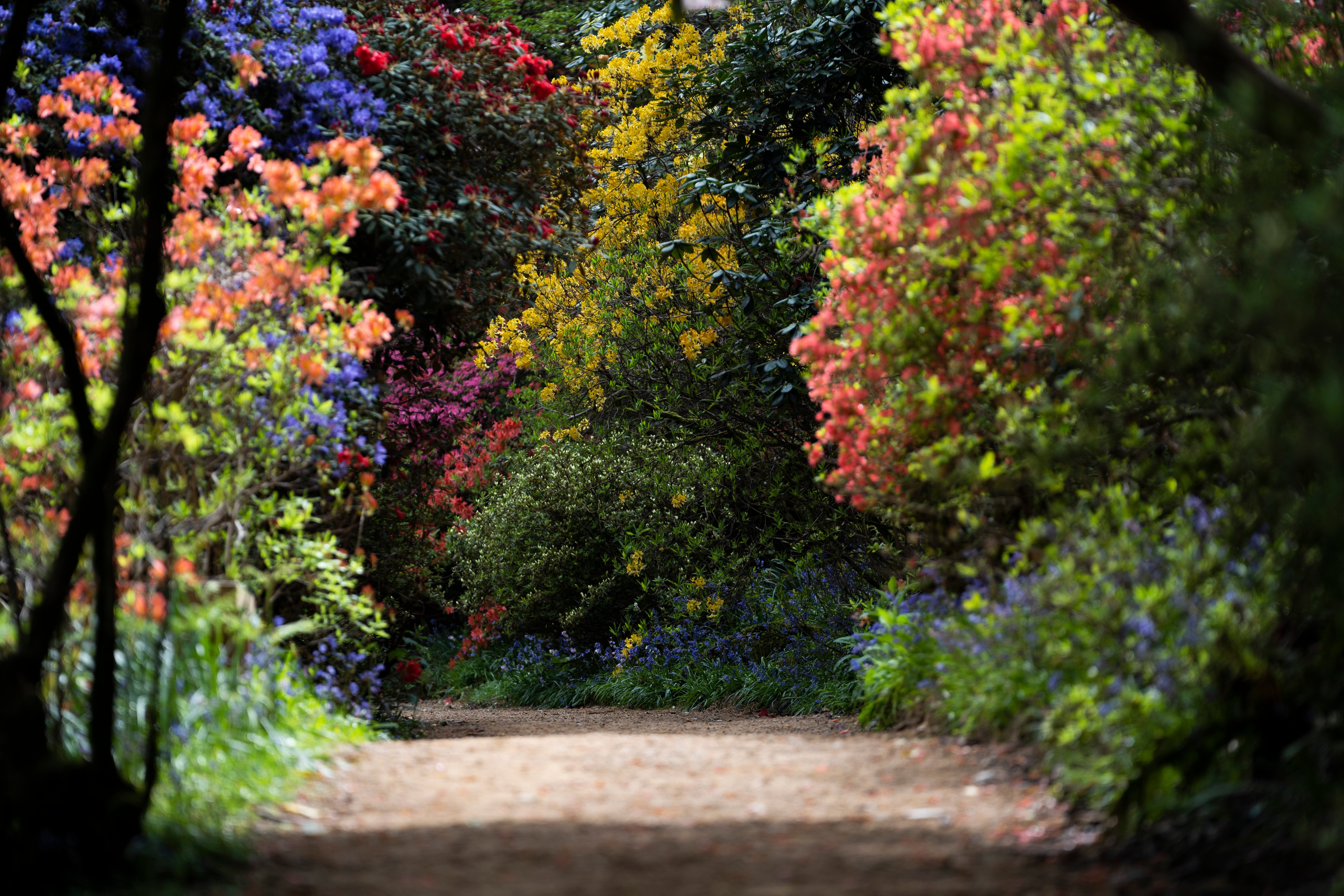 Leonardslee gardens outlet