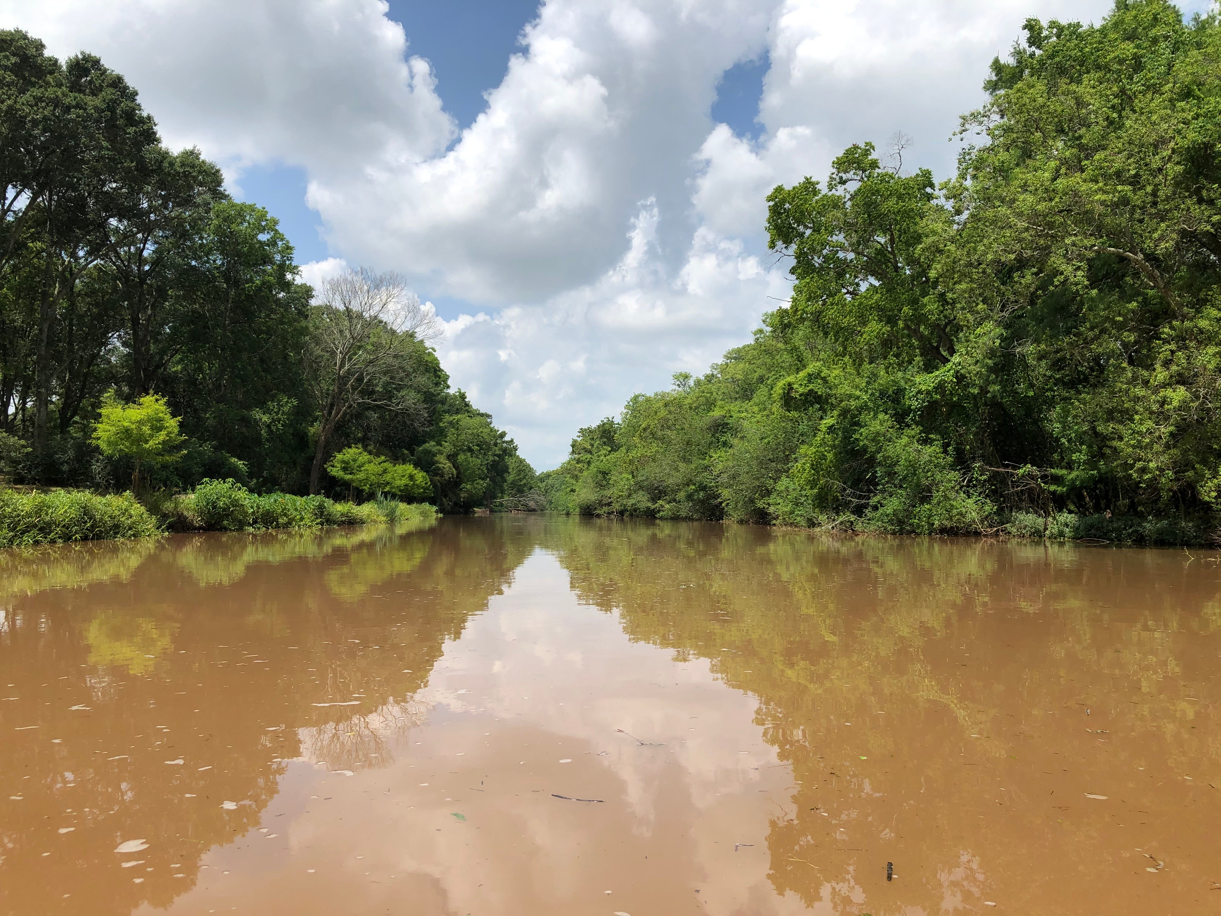 BAYOU TECHE EXPERIENCE (Breaux Bridge): Ce Qu'il Faut Savoir Pour Votre ...