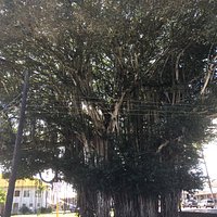 Kalakaua Park