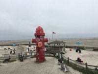 are dogs allowed on wildwood nj boardwalk