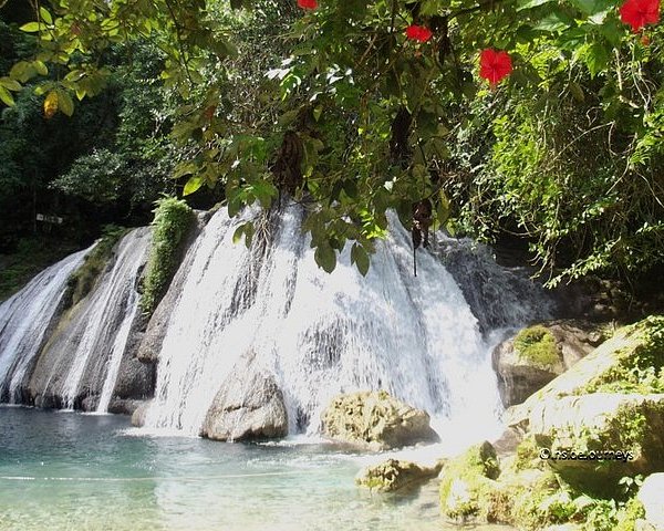 Reach Falls Port Antonio All You Need To Know Before You Go Updated 2022 Port Antonio