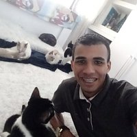 Em busca de uma oportunidade para demonstrar minha capacidade