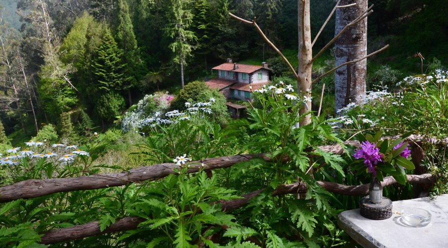 Snack Bar Flor da Selva