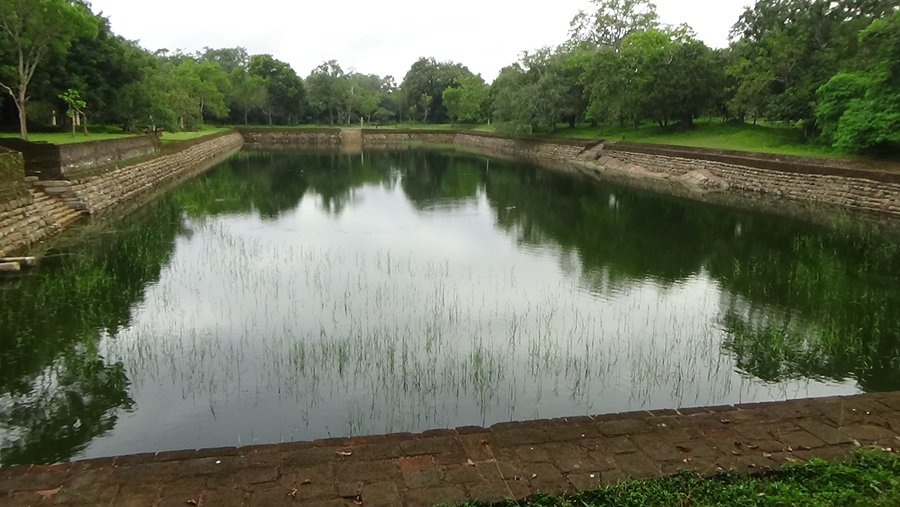 Giant of ponds