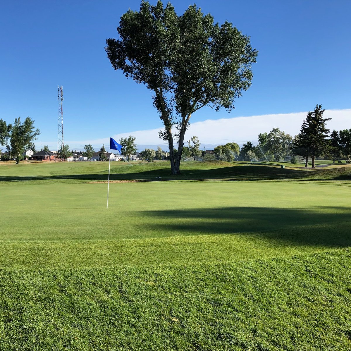 Riverview Golf Club (Redcliff) 2021 What to Know Before You Go (with