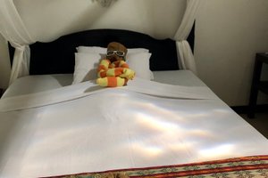 Room & Suite