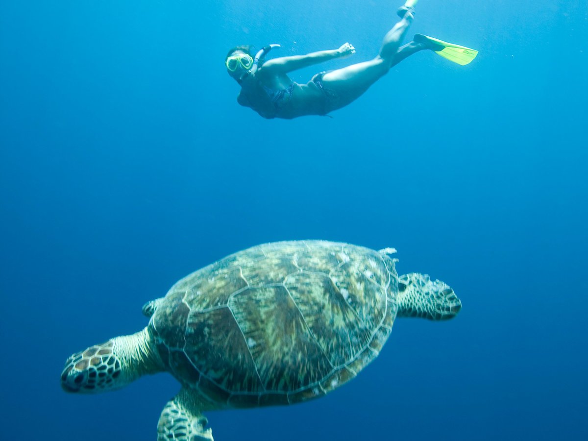 manta dive & snorkel cancun