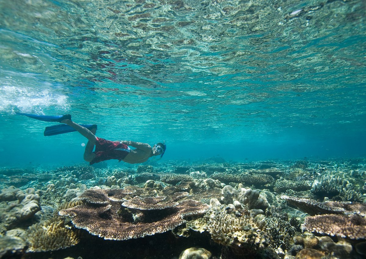 manta divers cancun reviews