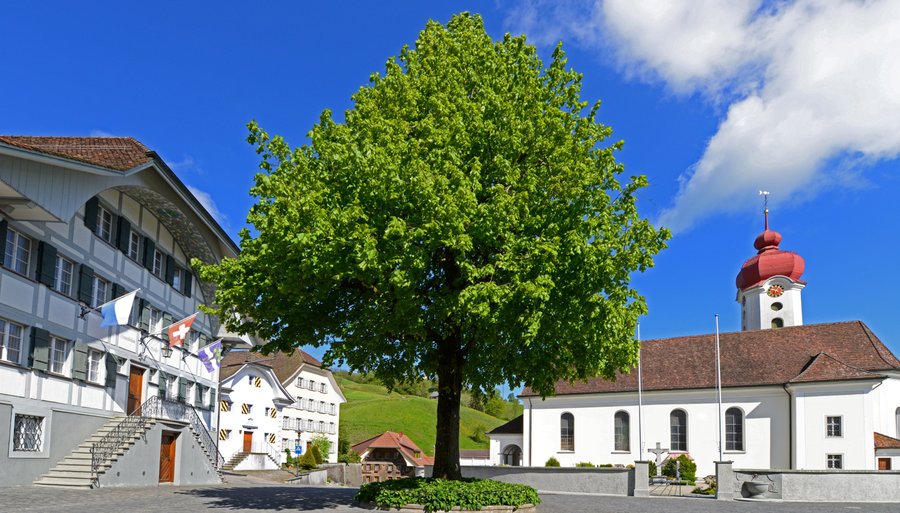 Dorfkern im Sonnenschein