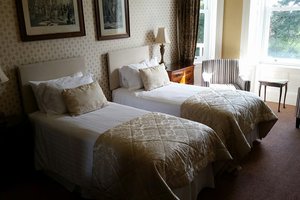 Room & Suite