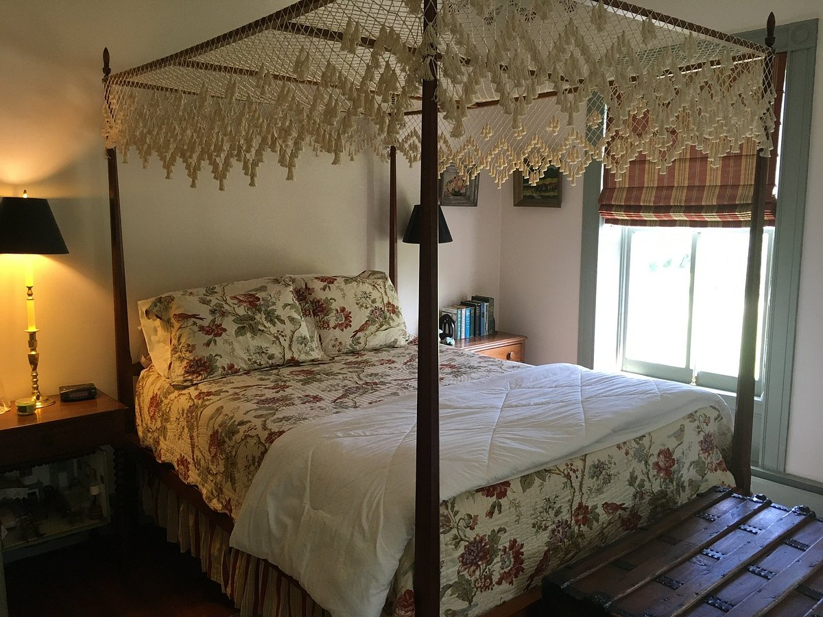 Clean, cute motel room with woodsy decor. - Picture of Pine Tree Motel &  Cabins, Chestertown - Tripadvisor