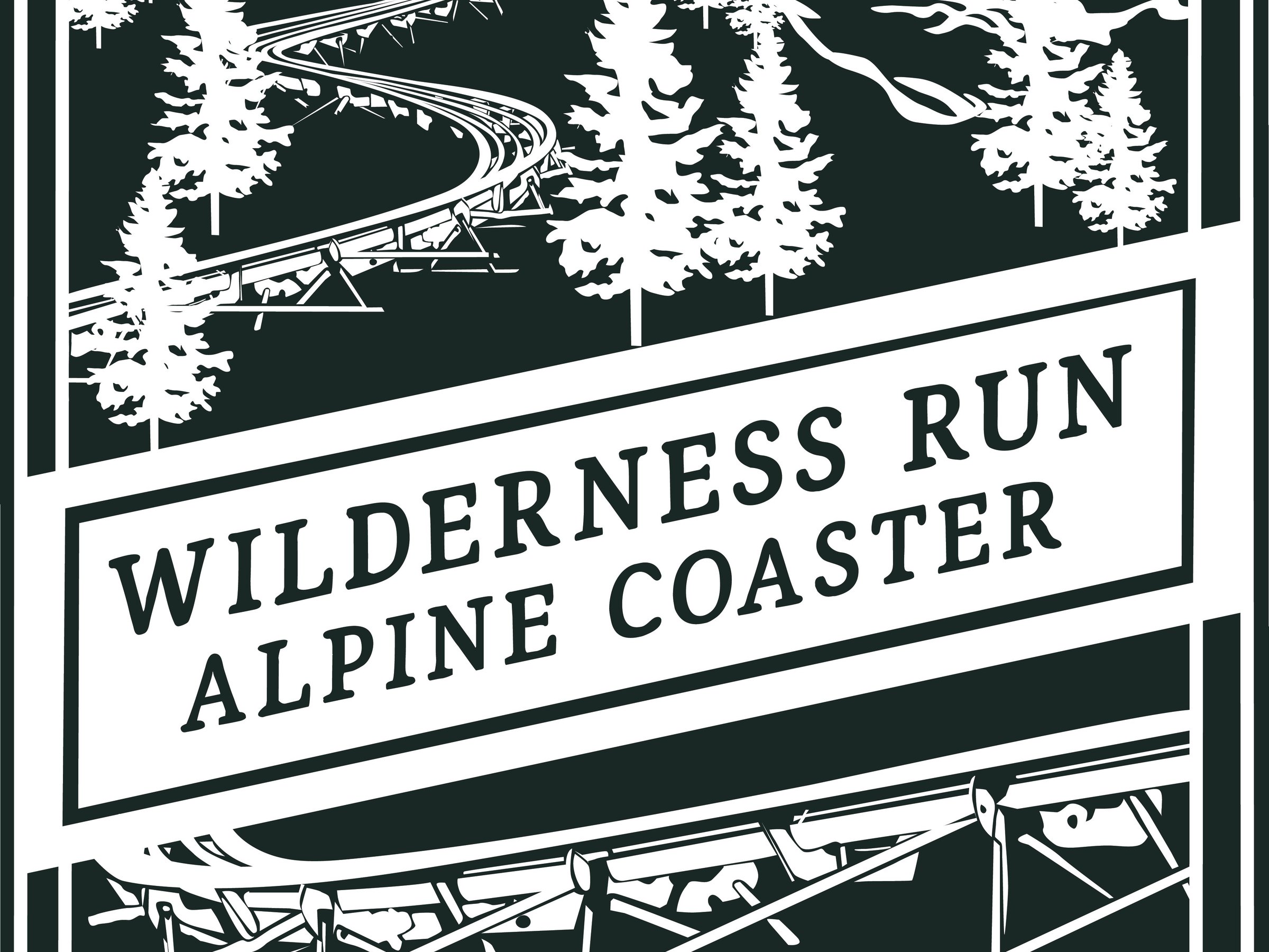 Wilderness Run Alpine Coaster - All You Need to Know BEFORE You Go (2024)