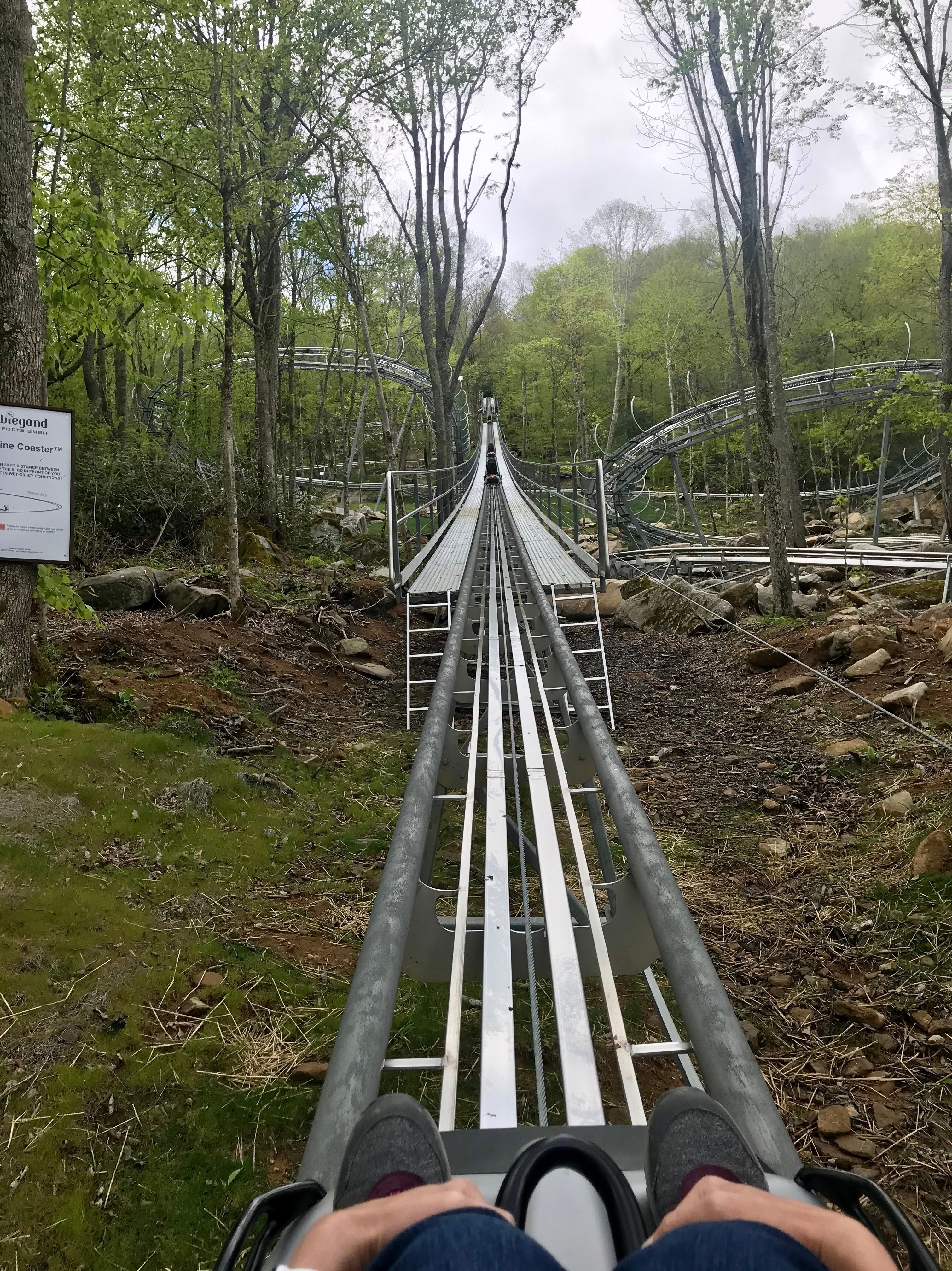 Wilderness Run Alpine Coaster All You Need to Know BEFORE You Go