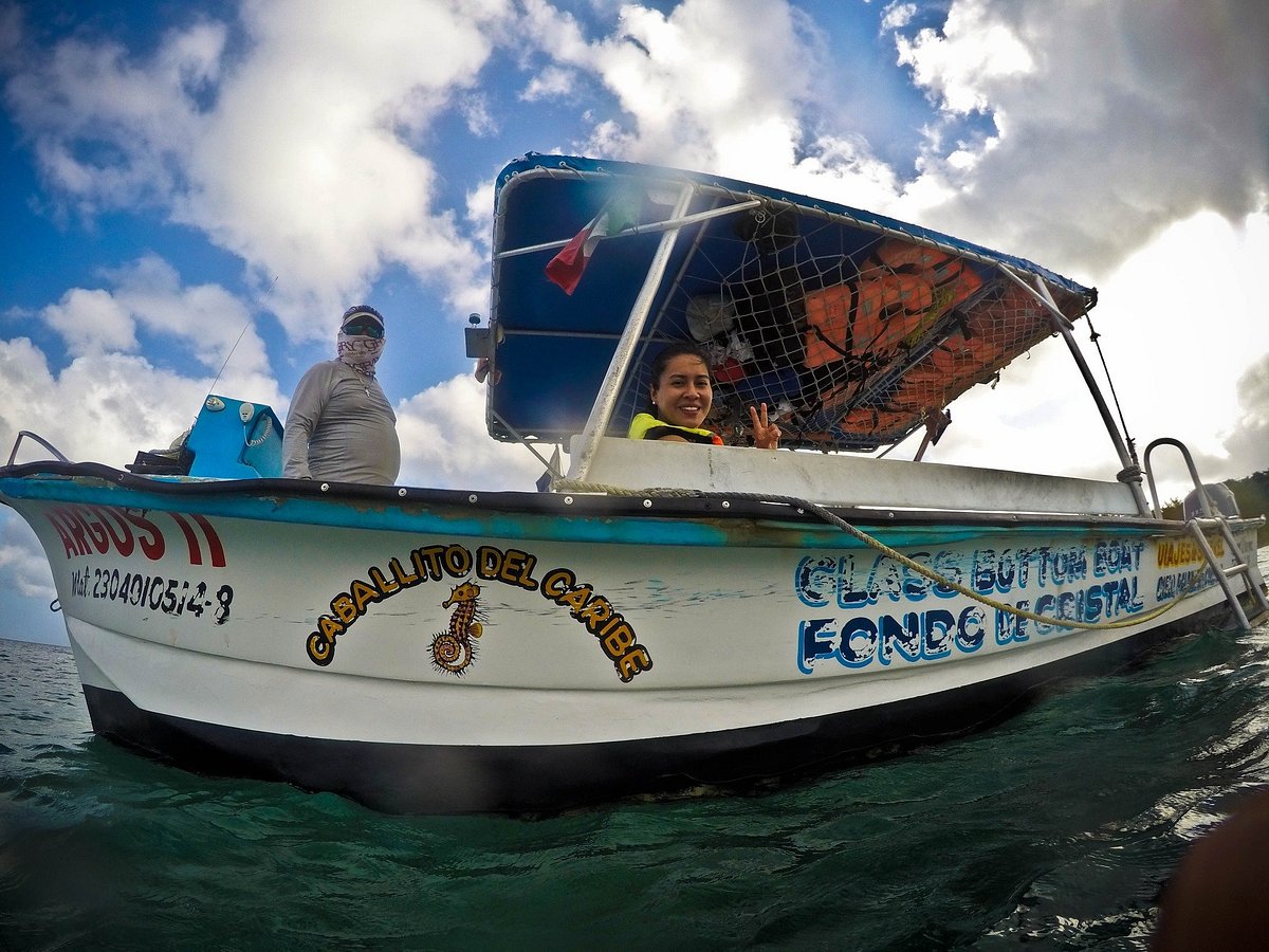 Diving Tours Caballito del Caribe (Cozumel) - All You Need to Know BEFORE  You Go