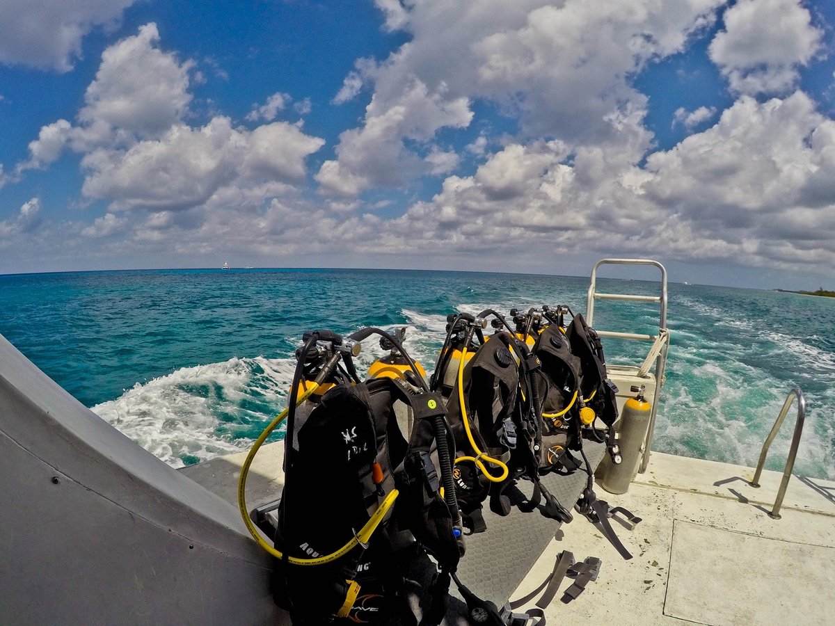 Diving Tours Caballito del Caribe (Cozumel) - All You Need to Know BEFORE  You Go