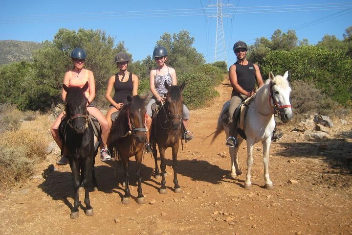 2024 taghazout Horse riding provided by Amodou Cheval - Tripadvisor