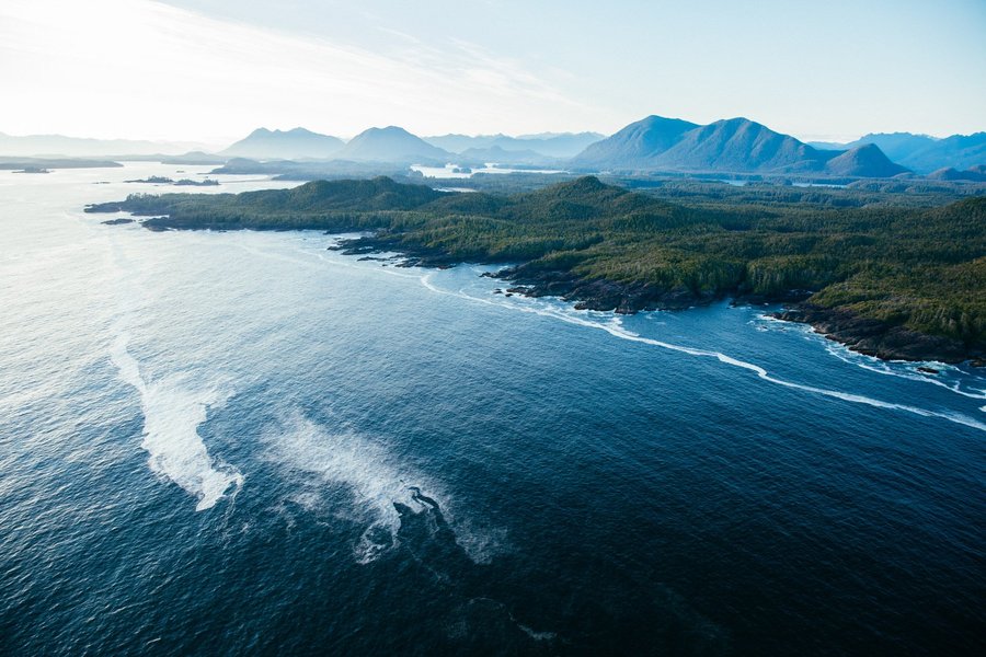 Tofino Resort + Marina - UPDATED 2022 Prices, Reviews & Photos (British Columbia) - Tripadvisor