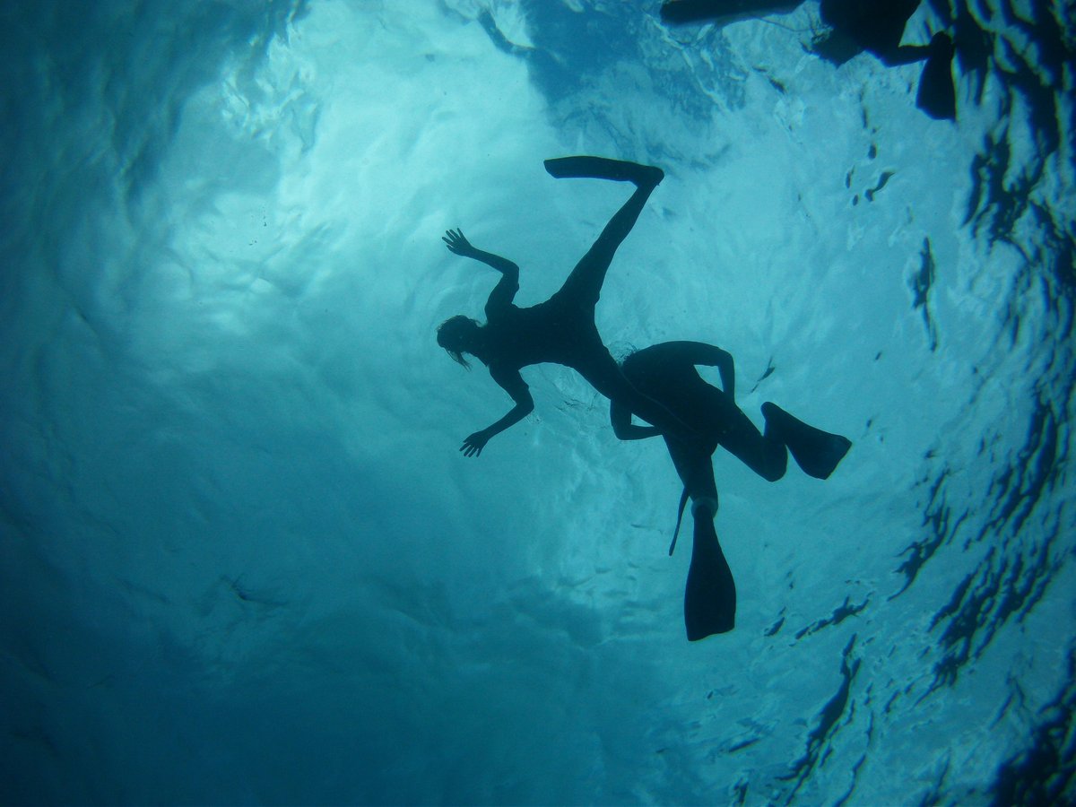 Ningaloo Whaleshark Swim - All You MUST Know Before You Go (2024)