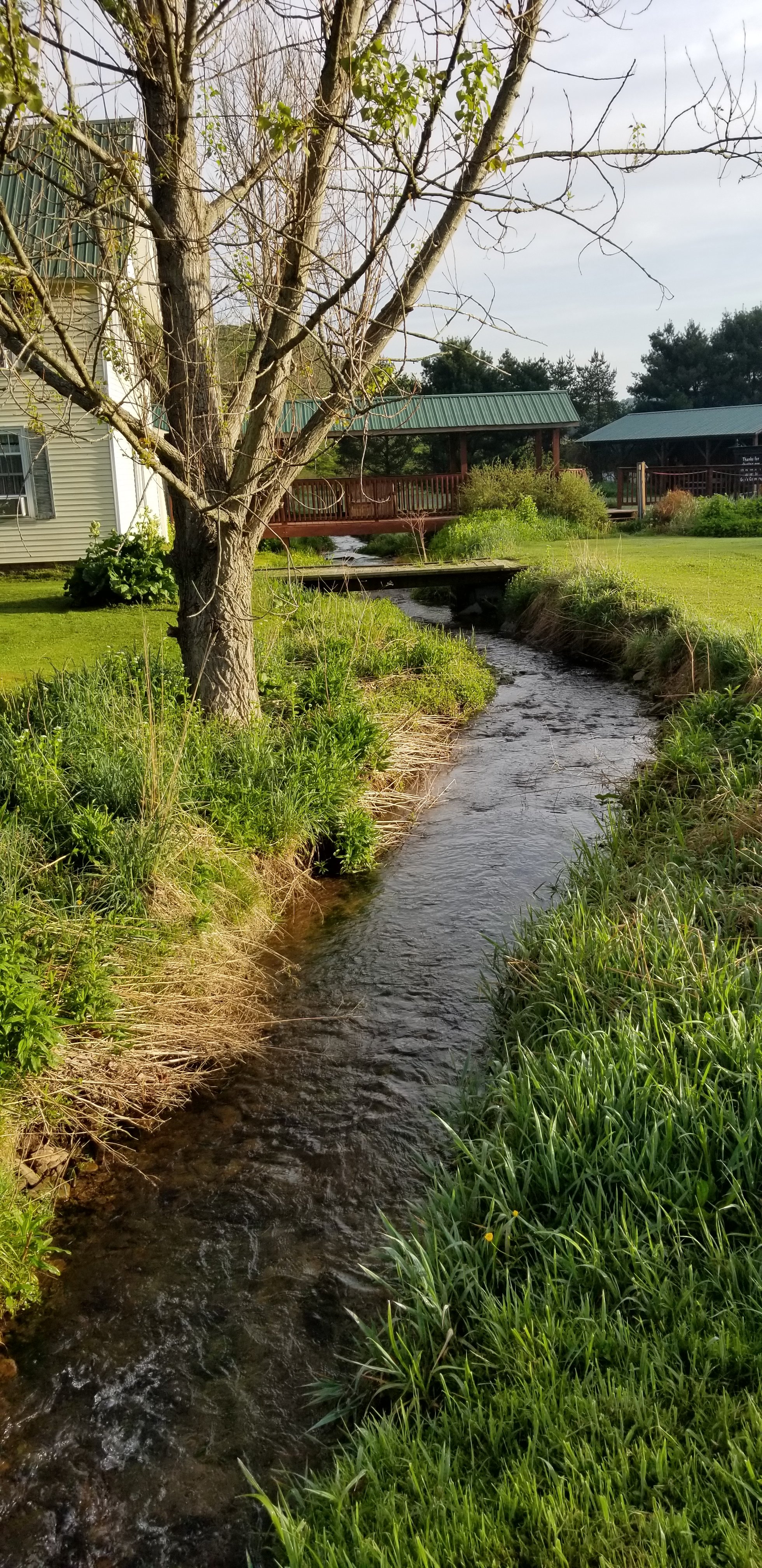 FROSTY HOLLOW BED AND BREAKFAST - Updated 2024 B&B Reviews (Coudersport ...