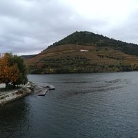 Pinhão