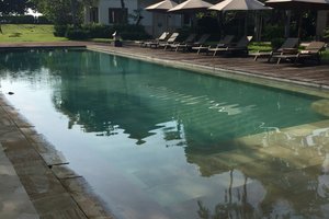 Pool & Beach