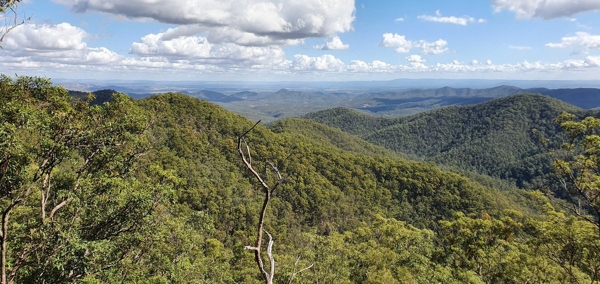 West Ridge Lookout - All You Need to Know BEFORE You Go (2024)