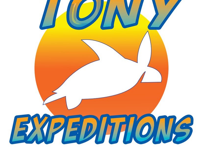 Tony Expeditions image