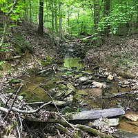 Streams meander through the conservation park.