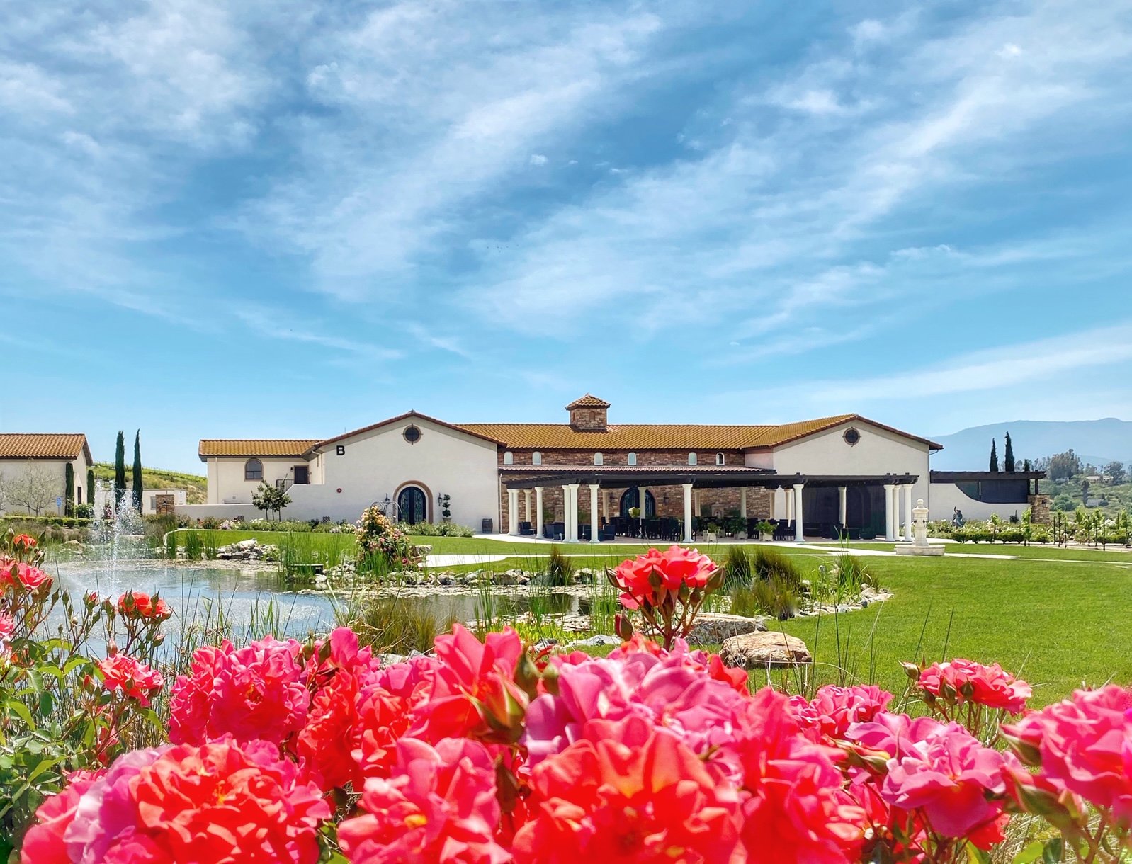 Temecula Acompanantes