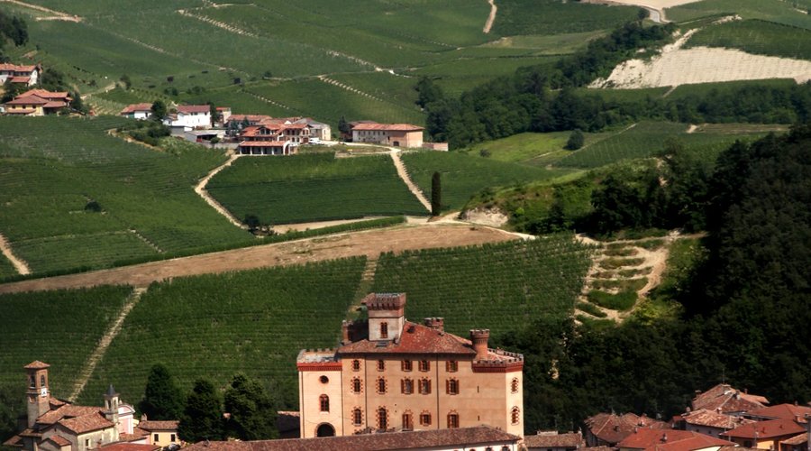 Un borgo arroccato attorno al suo castello millenario circondato da nobili vigneti. 
Siamo a Barolo, nel cuore delle Langhe, patrimonio Unesco dal 2014. All'interno del castello comunale Falletti è ospitato il più innovativo museo del vino in Italia.