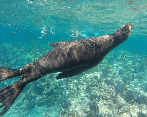 THE 10 BEST La Paz Nature & Wildlife Tours (Updated 2023)