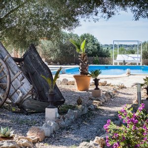Pool Gartenansicht