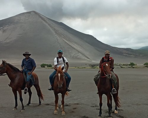 THE BEST Tanna Island Horseback Riding Tours (with Photos) THE BEST Tanna Island Horseback Riding Tours (with Photos)