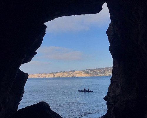 Guest commentary: What you might not know about La Jolla's sea
