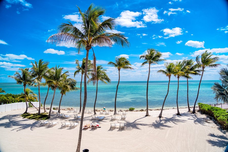 Chesapeake Beach Resort Updated 2021 Prices Reviews Islamorada Fl Tripadvisor Si decides alojarte en islander resort de islamorada, estaras cerca del mar y a menos de cinco minutos en coche de. chesapeake beach resort updated 2021