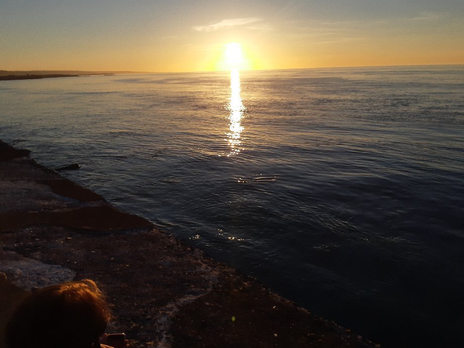 Plage De La Saline (Cherbourg-Octeville) - 2022 Alles Wat U Moet Weten ...