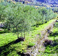 Torre medievale