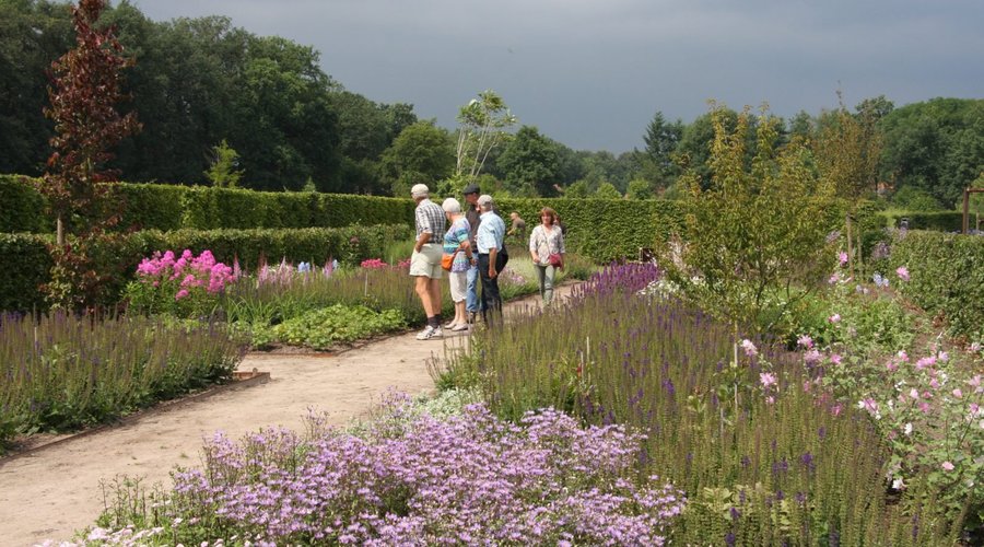 jardinier Découvrez 250 pivoines au Jardin Botanique de Merksplas