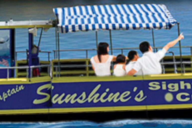 Sunshine's Sightseeing Cruises image