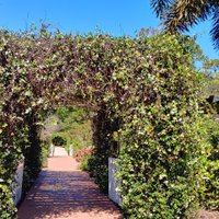 Port St Lucie Botanical Gardens (Port Saint Lucie) - All You Need to ...