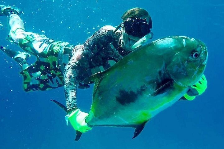 7 Spear fishing ideas  spearfishing, spear, diving