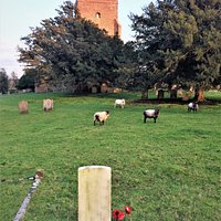 3. Commonwealth War Graves, St Matthew's Church, Warehorne, Kent; the grave of Private Percy Harden