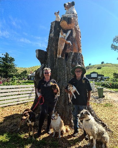 Toora Dog Tree All You Need to Know BEFORE You Go 2024