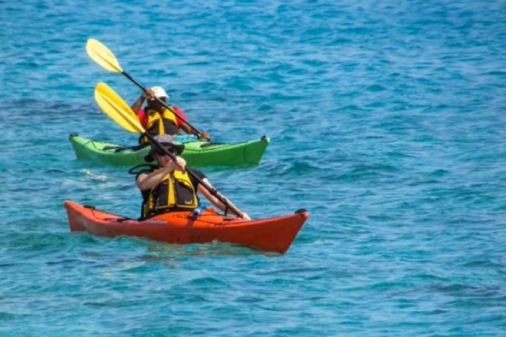 2024 Small-Group Kayaking Experience in Sydney